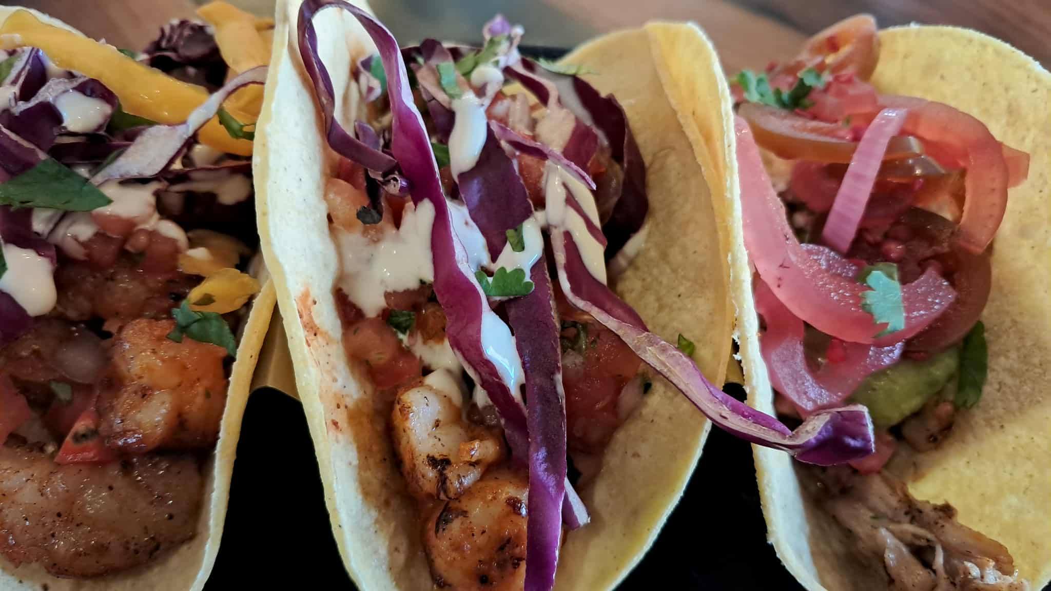 557430195 1389899333141880 4220162856886154506 n