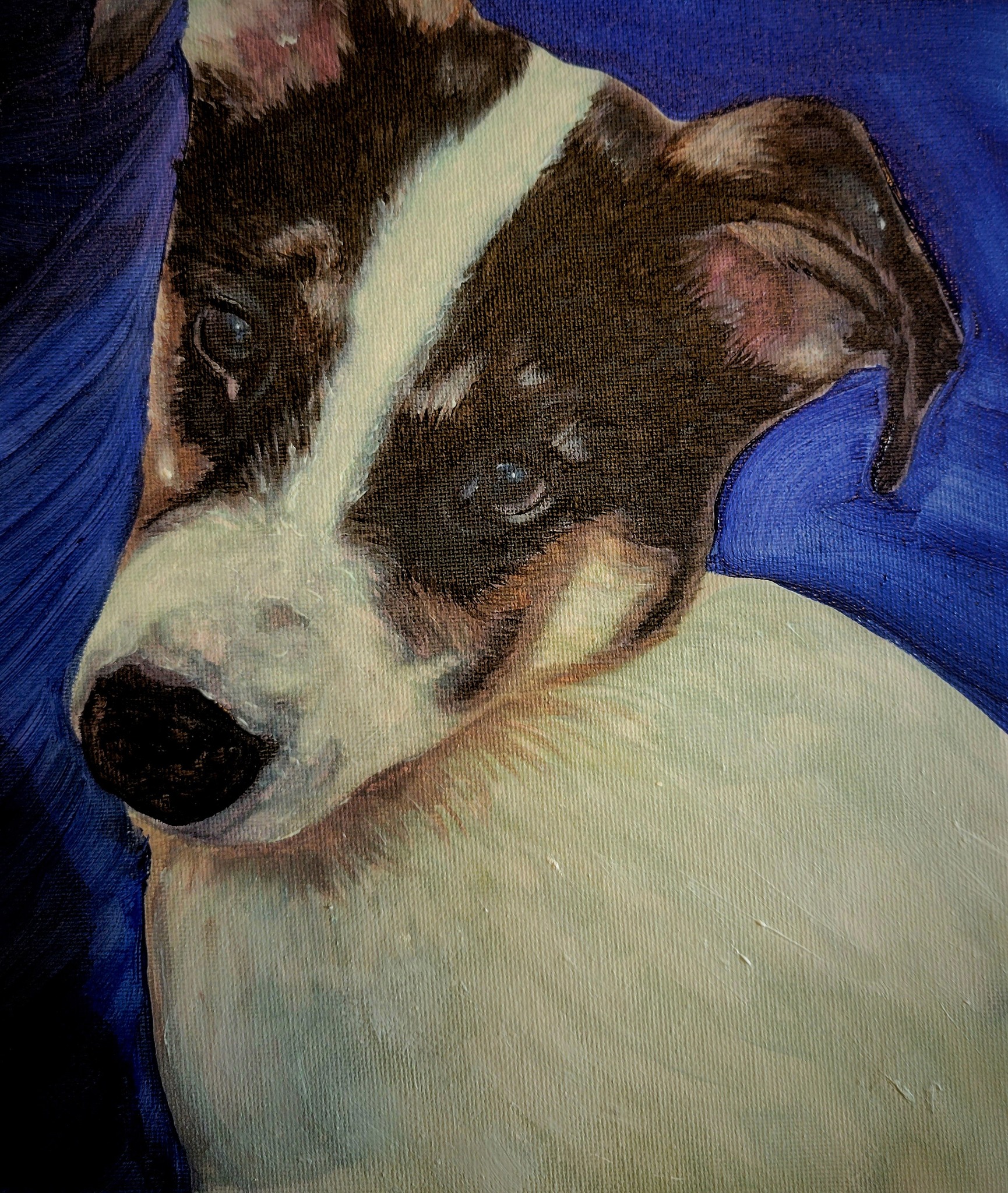 paint and sip pet
